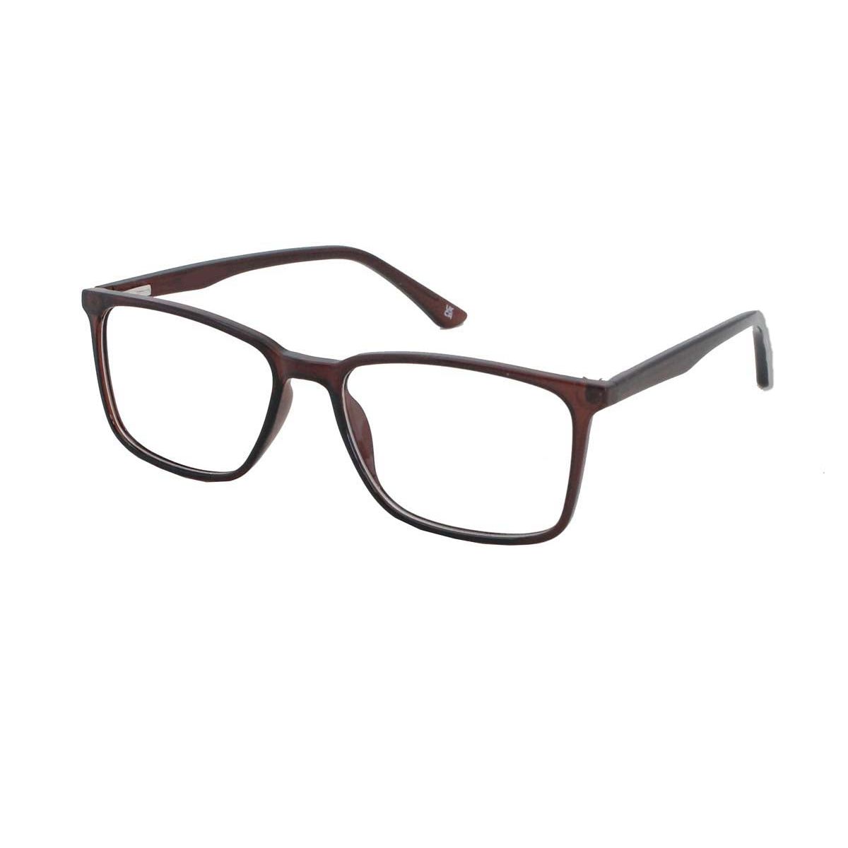 3093 Brown