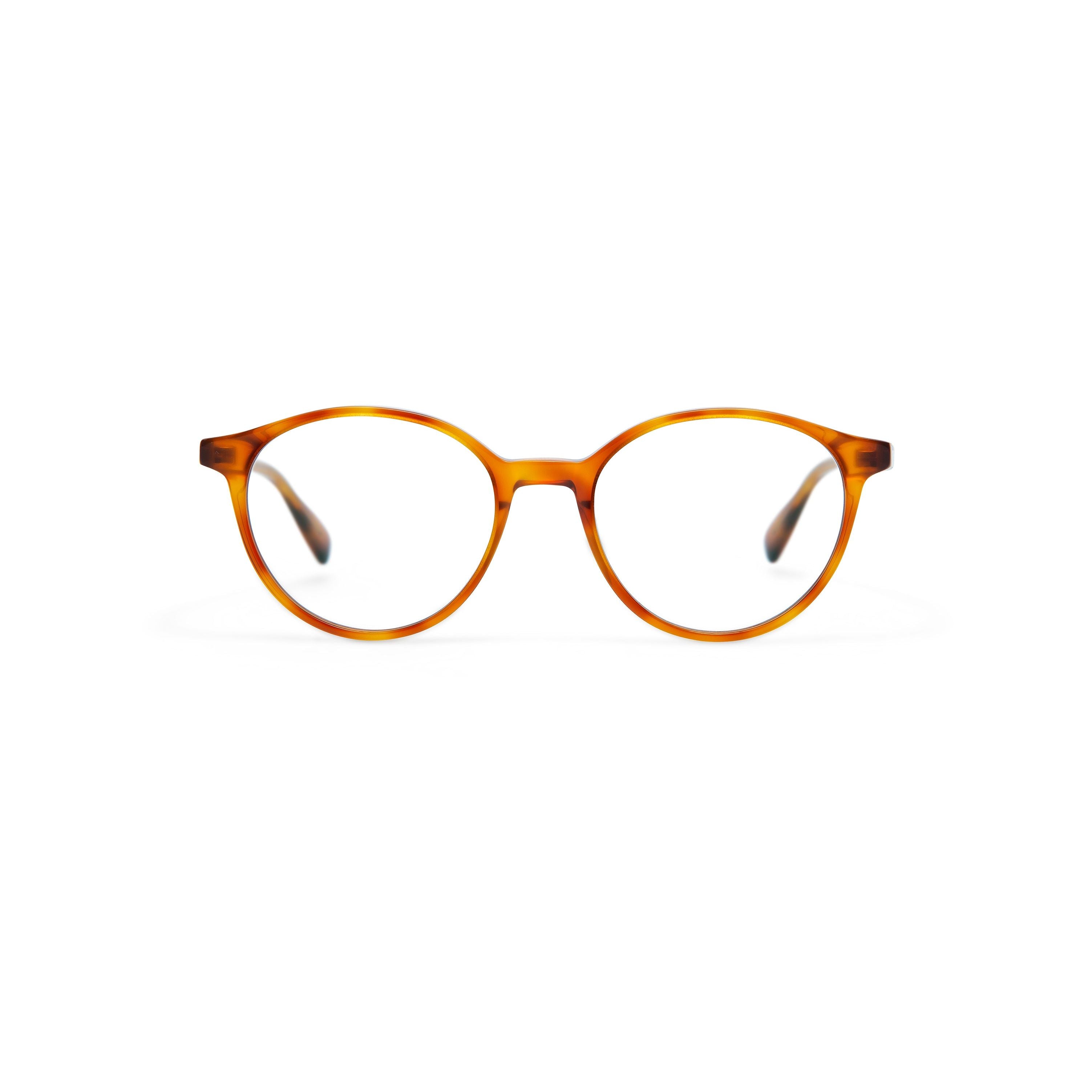 Brooks Light Havana Large