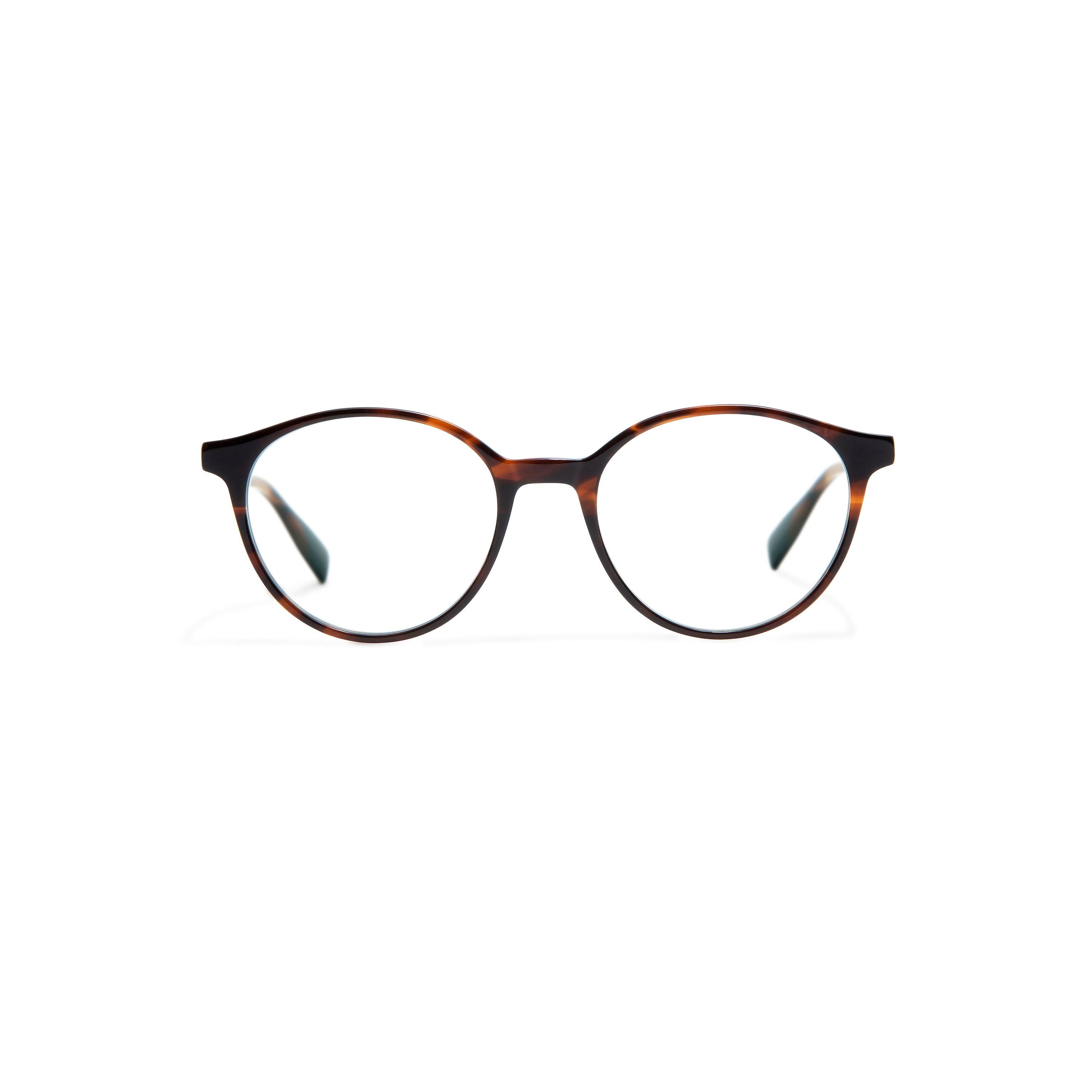 Brooks Havana Large